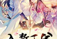 李如歌沈洵烨的故事在哪本书里？免费阅读入赘王爷-侠客文学