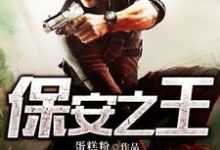 保安之王小说的免费电子版在哪里可以下载或阅读？-侠客文学