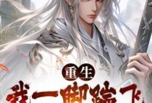 主角叫李华盈江照野的小说在哪阅读-侠客文学