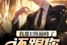 想读张铭的故事，哪里可以免费找到我都E级巅峰了，还跟你讲道理？？-侠客文学