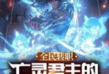 寻找全民转职:亡灵君主的我可以斩神!小说的最新更新章节-侠客文学