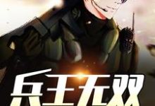 完结版《兵王无双》免费阅读-侠客文学