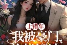 杨柳陆弋为主角的小说上错车,我被豪门总裁倒追在线阅读-侠客文学