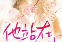 主角沈念陆凌川小说完结版在线阅读，他站在深渊免费看-侠客文学