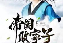 帝国败家子章节免费在线阅读，王康林语嫣完结版-侠客文学