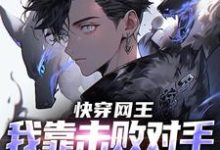 快穿网王:我靠击败对手获得球技小说全文哪里可以免费看?-侠客文学
