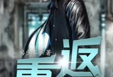 求李峰陈雪小说免费资源-侠客文学