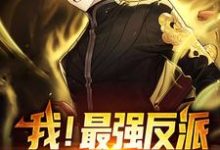 我！最强反派，掠夺主角气运小说，我！最强反派，掠夺主角气运章节在线阅读-侠客文学