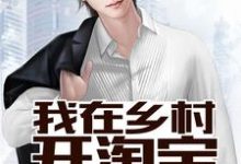 我在乡村开淘宝小说,我在乡村开淘宝在线阅读-侠客文学