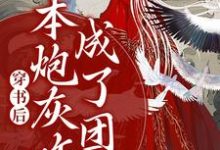 免费在线阅读穿书后，本炮灰咋成了团宠小说的正规网站有哪些？-侠客文学