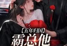 孟青柠傅南萧为主角的小说好看吗?免费读五年归国,霸总他紧追不舍-侠客文学