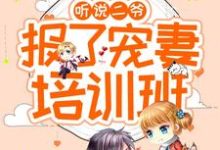 听说二爷报了宠妻培训班小说最新更新在哪里?免费在线看-侠客文学