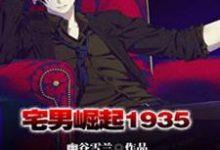 小说《宅男崛起1935》章节阅读-侠客文学