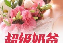 在线寻找萧风沈冰倾的小说，超级奶爸免费阅读-侠客文学