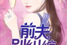 前夫,别纠缠小说的最新章节在哪里更新?免费追踪阅读-侠客文学