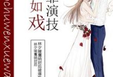 人生如戏，全靠演技小说阅读，人生如戏，全靠演技完结版-侠客文学