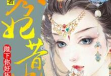 免费看今妃昔比：陛下你好坏小说的网站有哪些？-侠客文学