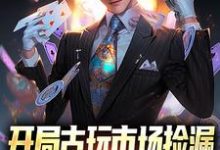 苏宇为主角的小说开局古玩市场捡漏，惊呆全网在线阅读-侠客文学