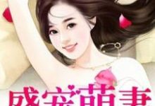 免费在线阅读盛宠萌妻小说的正规网站有哪些？-侠客文学