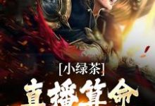 已完结小说《小绿茶直播算命，总裁默默宠》章节免费阅读-侠客文学