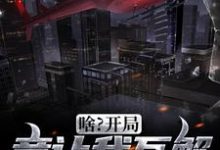 《啥？开局竟让我瓦解黑暗势力》小说大结局免费试读 苏南小说-侠客文学