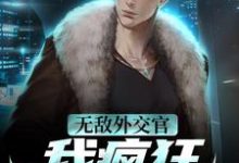 主人公叫林宇的小说无敌外交官！我疯狂掠夺国运在线阅读章节-侠客文学