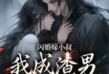 求闪婚嫁小叔，我成渣男长辈了小说免费资源-侠客文学