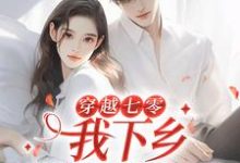 穿越七零，我下乡相亲成功了林向南，穿越七零，我下乡相亲成功了在线无弹窗阅读-侠客文学