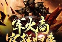 薛云薛潜薛天工小说叫什么（军火商穿越归来免费阅读）-侠客文学