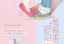 《他温柔了岁月》全集免费在线阅读(林辰升周一南魏成恺赵悦靓)-侠客文学