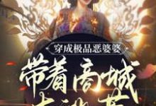 小说《穿成极品恶婆婆,带着商城去逃荒》章节免费阅读-侠客文学
