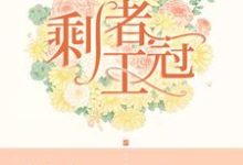 《剩者王冠》小说章节列表免费试读,林淼淼苏砾小说在线阅读-侠客文学