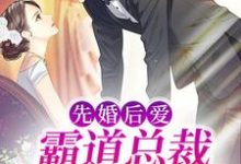 已完结小说《先婚后爱:霸道总裁秒变粘人精》章节免费阅读-侠客文学