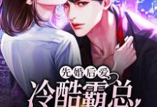 完结版《先婚后爱：冷酷霸总追妻路漫漫》章节阅读-侠客文学
