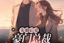 先婚后爱：豪门总裁又宠又欲主角盛新顾泽野小说完结版章节在线阅读-侠客文学