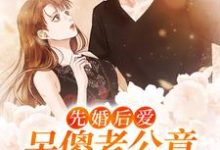 沈棠裴京墨的完整故事在哪里？读先婚后爱：呆傻老公竟成了高冷军官小说-侠客文学