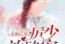先婚后爱：厉少，放肆宠章节免费在线阅读，苏晓厉铭寒苏雪陆逸景完结版-侠客文学