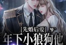 《先婚后爱:年下小狼狗他占有欲超强》小说主角顾晓亦官阳煦章节章节免费在线阅读-侠客文学