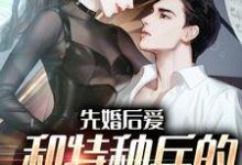 先婚后爱：和特种兵的养崽日常小说，先婚后爱：和特种兵的养崽日常最新章节-侠客文学