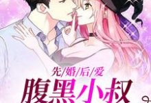 先婚后爱：腹黑小叔把我宠上天舒欢霍靳城，先婚后爱：腹黑小叔把我宠上天最新章节-侠客文学