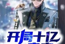 哪里可以免费读到凌欢洛雨艾琴的完整故事？寻找开局十亿房产-侠客文学