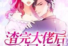 渣完大佬后我又穿回来了主角顾晚顾雪顾明宸宋清越小说完结版章节在线阅读-侠客文学