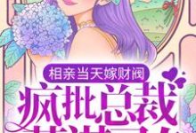 小说《相亲当天嫁财阀,疯批总裁蓄谋已久》章节免费阅读-侠客文学