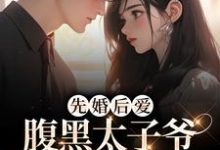 完结版《先婚后爱：腹黑太子爷的怀中美人》章节阅读-侠客文学