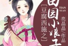 小说《豆腐西施之田园小娘子》章节阅读-侠客文学