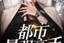 哪里能找到都市最强高手小说的全部章节？-侠客文学