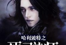 已完结小说《哈利波特之死灵法师》章节免费阅读-侠客文学