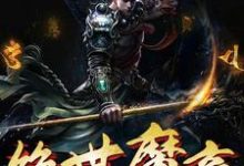 免费看绝世魔帝小说的网站有哪些？-侠客文学