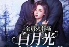 《全员火葬场，白月光只想搞事业》小说章节列表免费试读，徐尽欢小说在线阅读-侠客文学