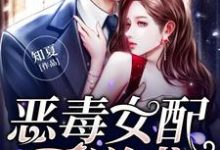 林沐雪莫临小说在哪里可以看-侠客文学